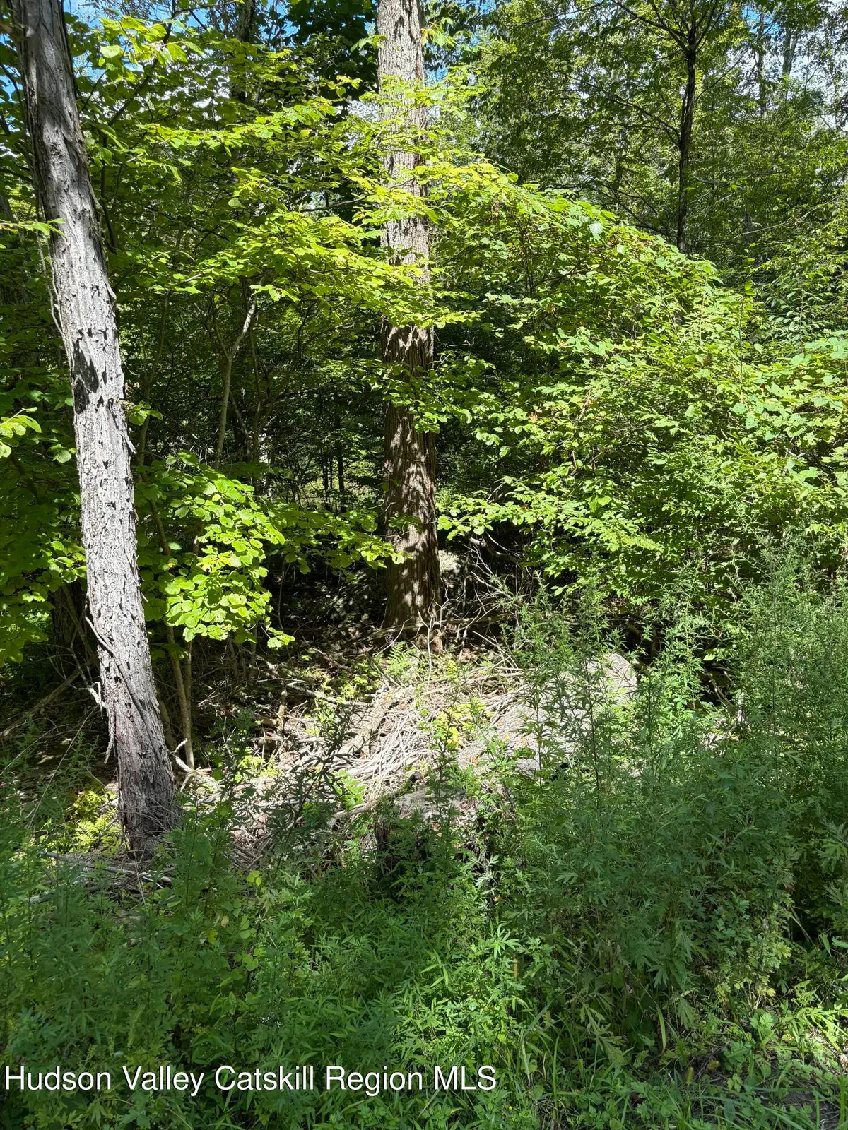 Tbd Oak Ridge Road, Ellenville, NY 12428 - #1