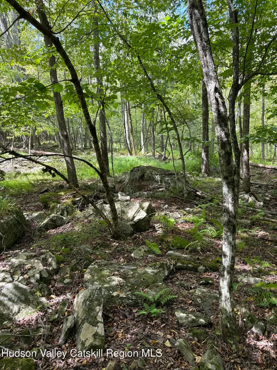 Tbd Oak Ridge Road, Ellenville, NY 12428 - #2