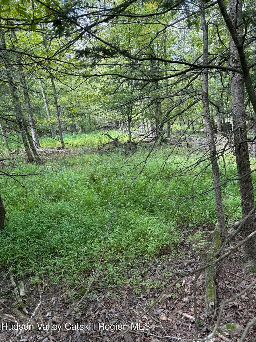 Tbd Oak Ridge Road, Ellenville, NY 12428 - #3