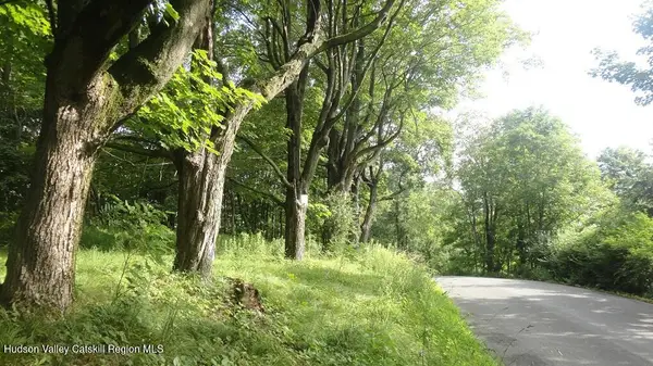 Tbd Henry Road, Cragsmoor, NY 12420