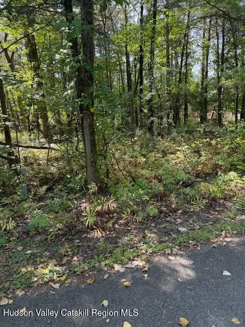 41 Fallen Tree Lane, Athens, NY 12015 - Image #2