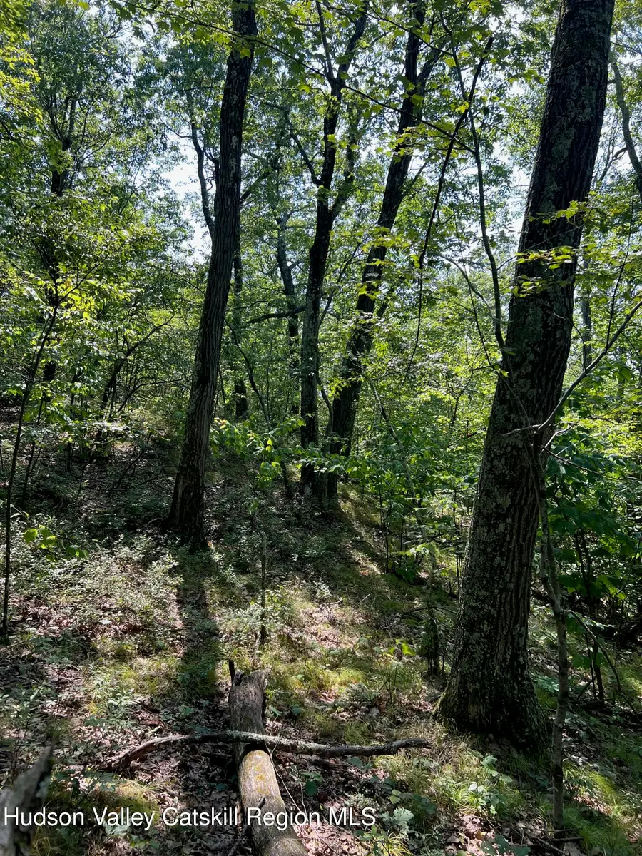 0 Harlemville Road, Hillsdale, NY 12529 - Image #2