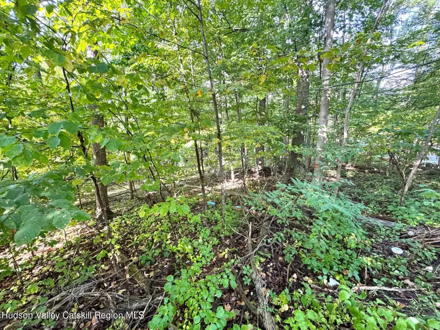 0 Deerfield Road, Boiceville, NY 12412 - Image #3