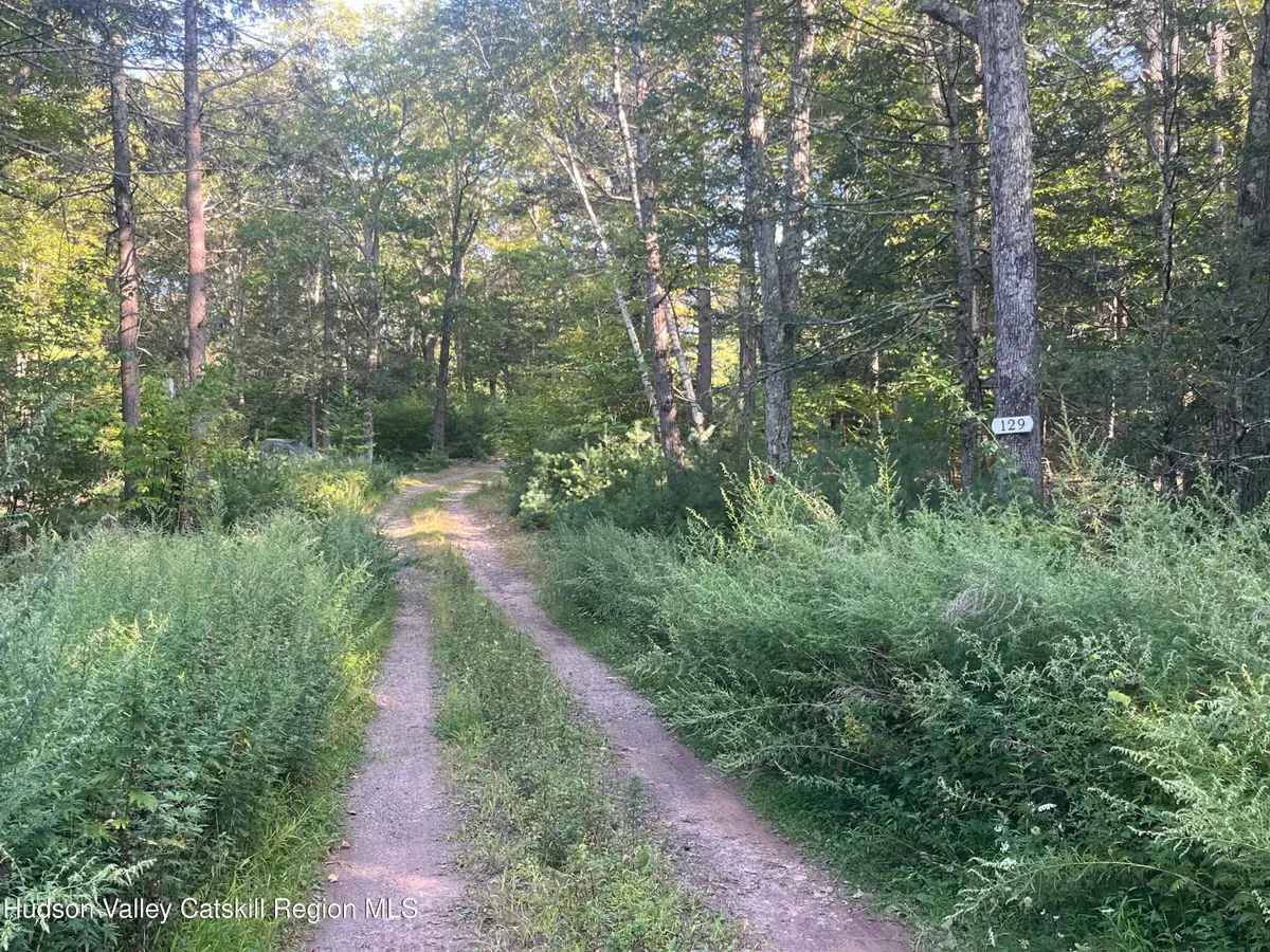 129 Bailey Road, Purling, NY 12470 - Image #1