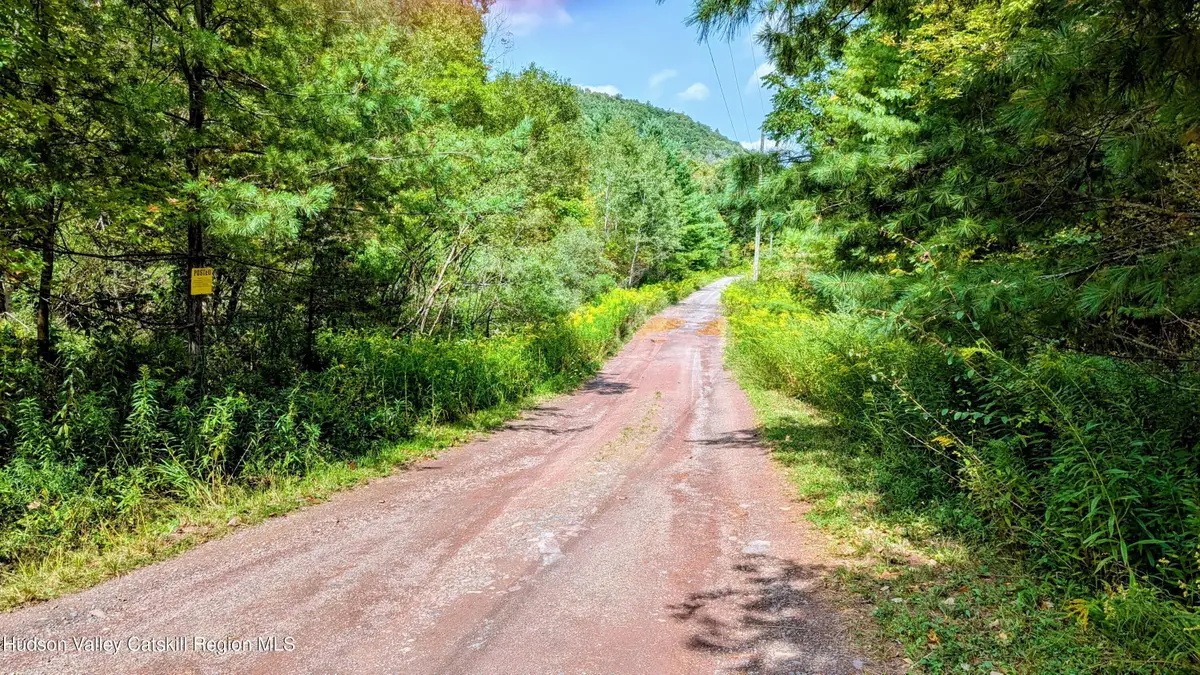 2 Cohen Road, Prattsville, NY 12468 - #1