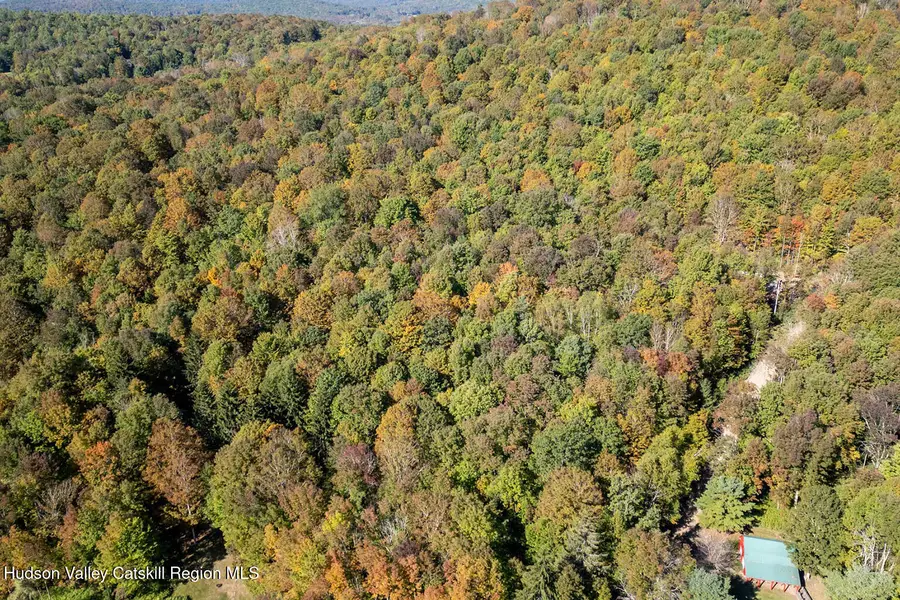 Tbd Running Horse Road, Margaretville, NY 12455 - Image #2
