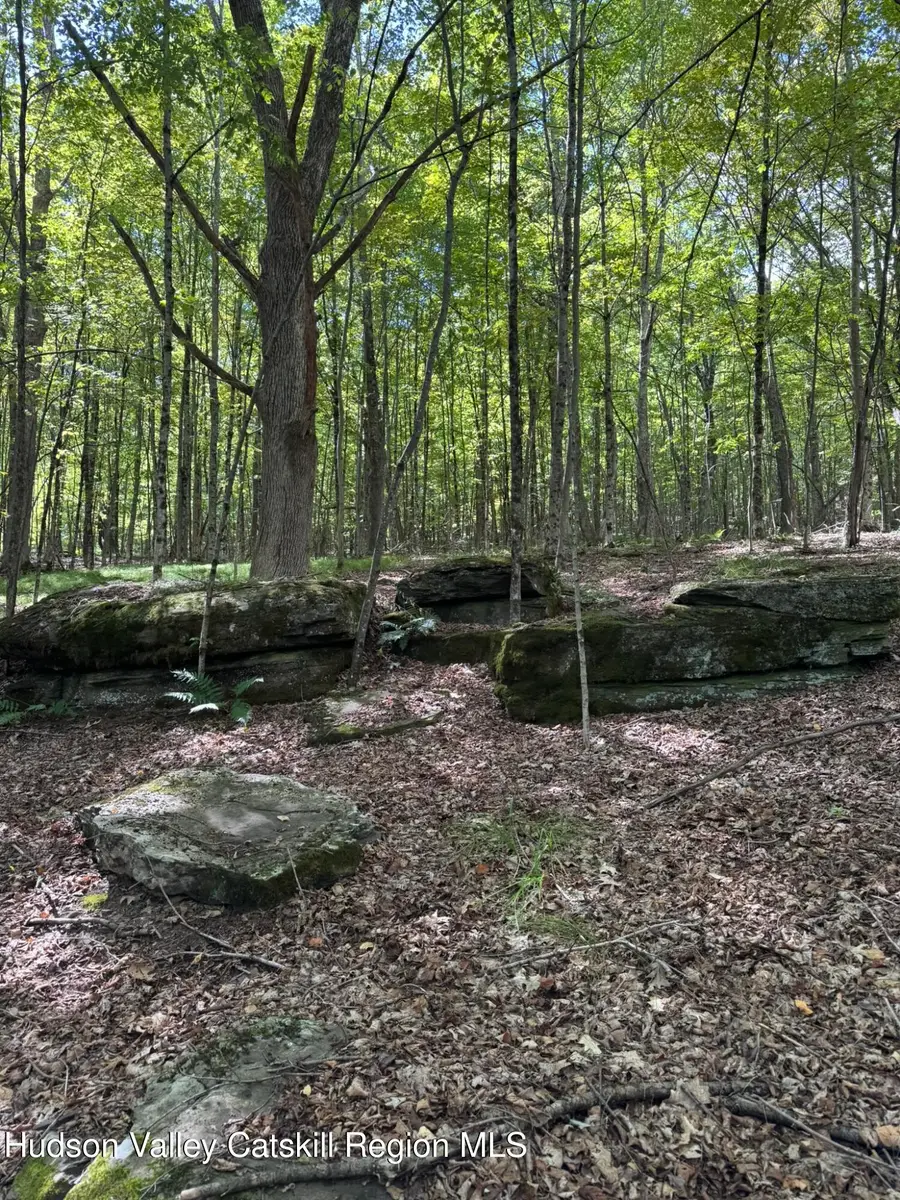 Tbd Running Horse Road, Margaretville, NY 12455 - Image #3