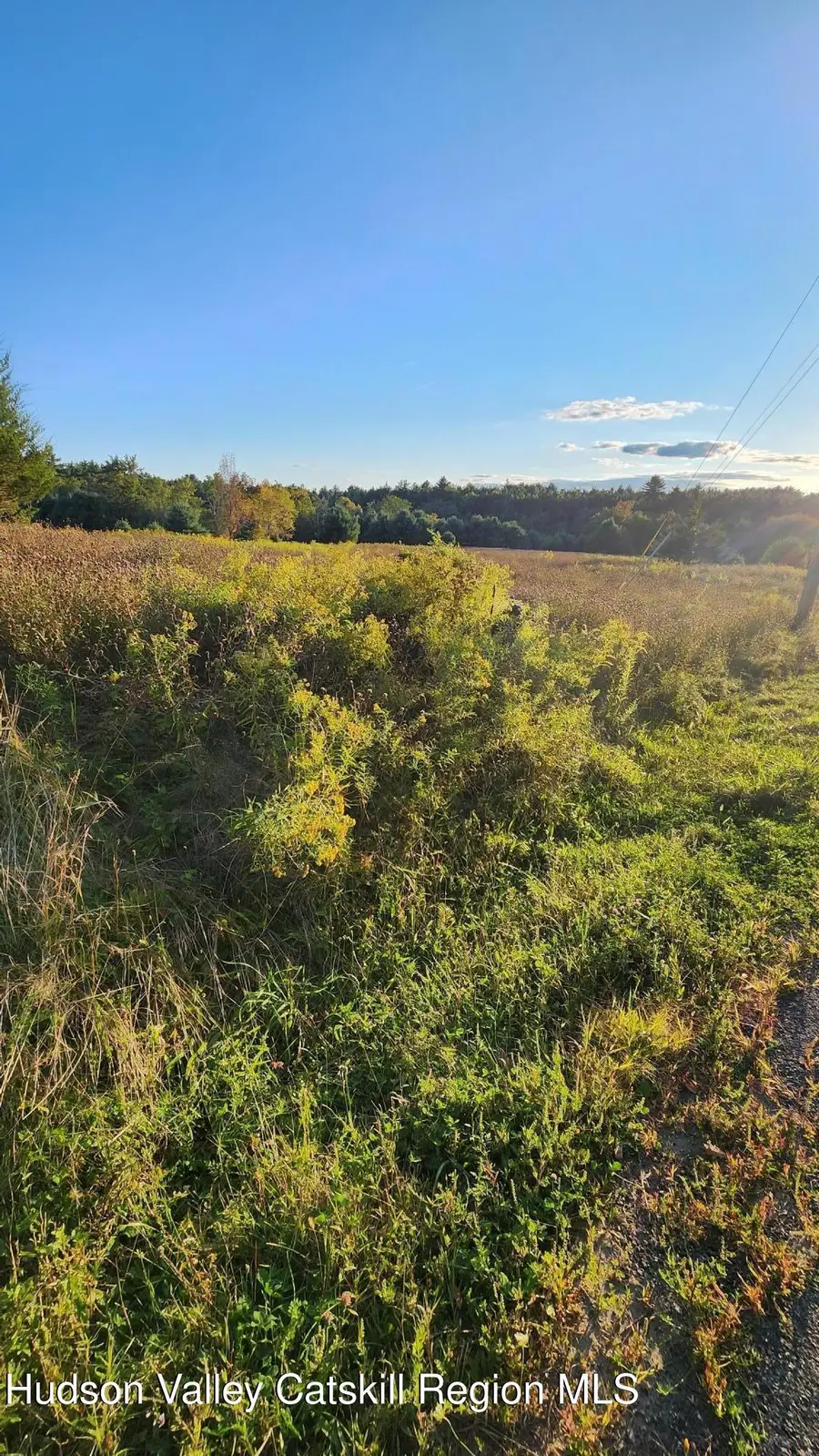 647 Irish Cape Road, Wawarsing, NY 12489 - #2