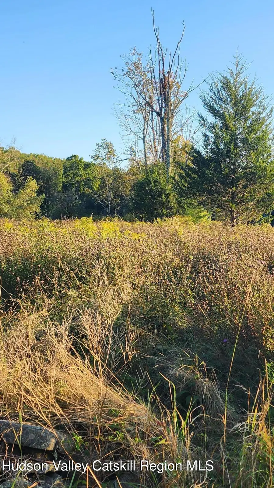 647 Irish Cape Road, Wawarsing, NY 12489 - #3