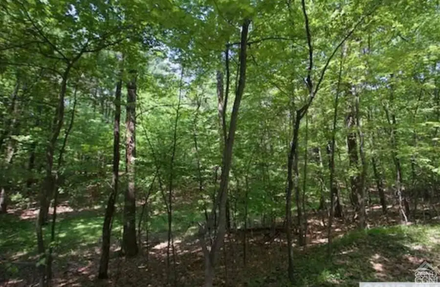 325 Albany Turnpike, Nassau, NY 12123 - Image #2