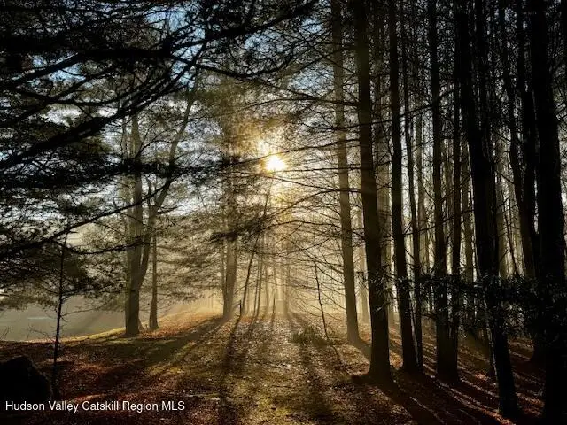 00 Dug Hill Road, Hurley, NY 12443 - Image #2