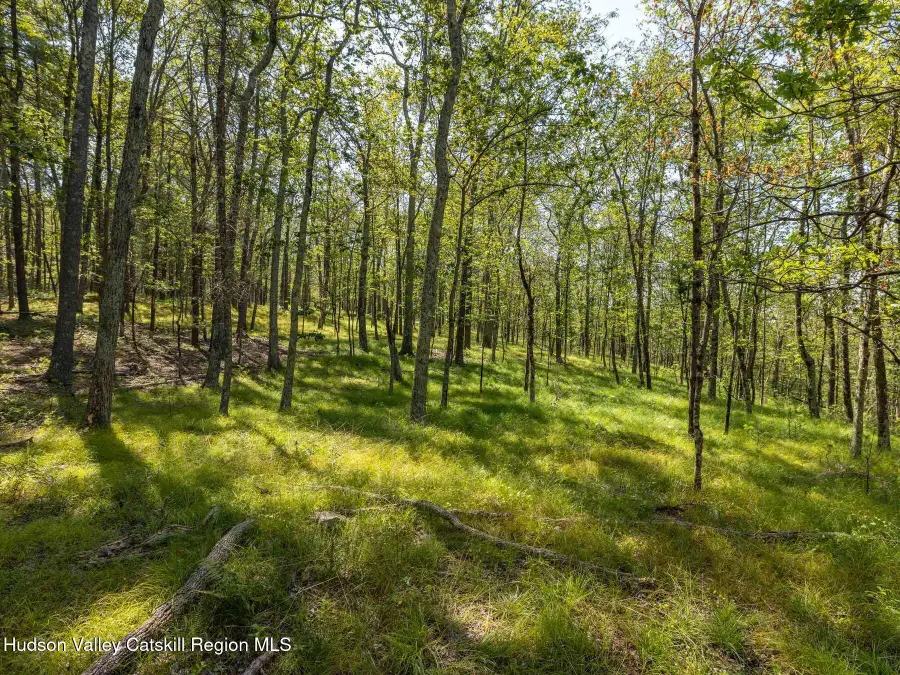 00 Dug Hill Road, Hurley, NY 12443 - Image #3