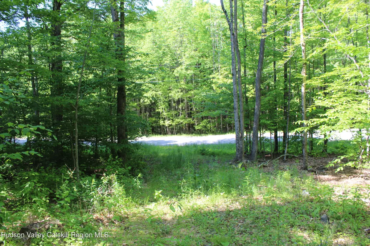 380 Terrace Drive, Lexington, NY 12468 - Image #1