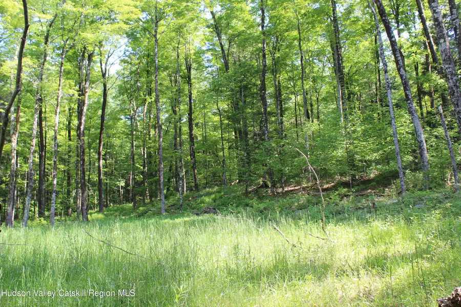 380 Terrace Drive, Lexington, NY 12468 - Image #3