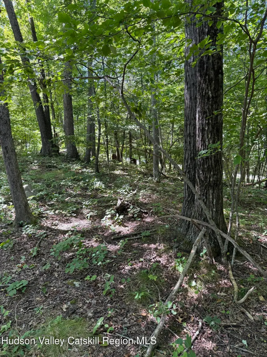 399 Floyd Ackert Road, New Paltz, NY 12561 - Image #2