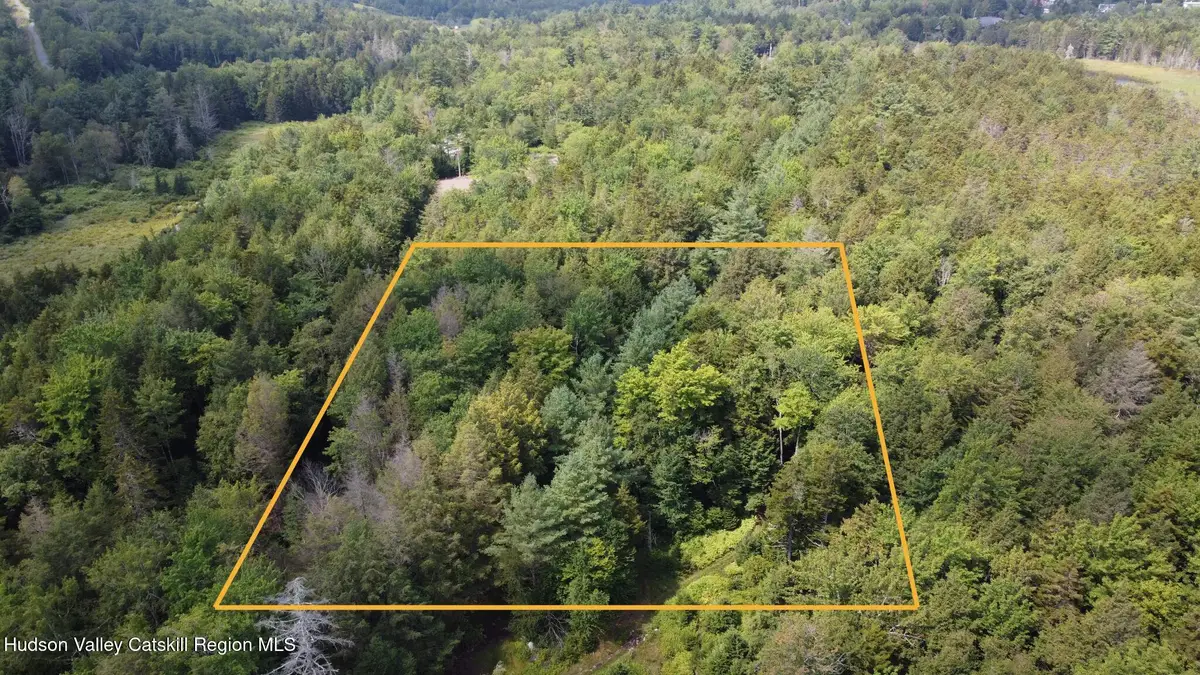 Tbd Stone St, Haines Falls, NY 12436 - Image #1