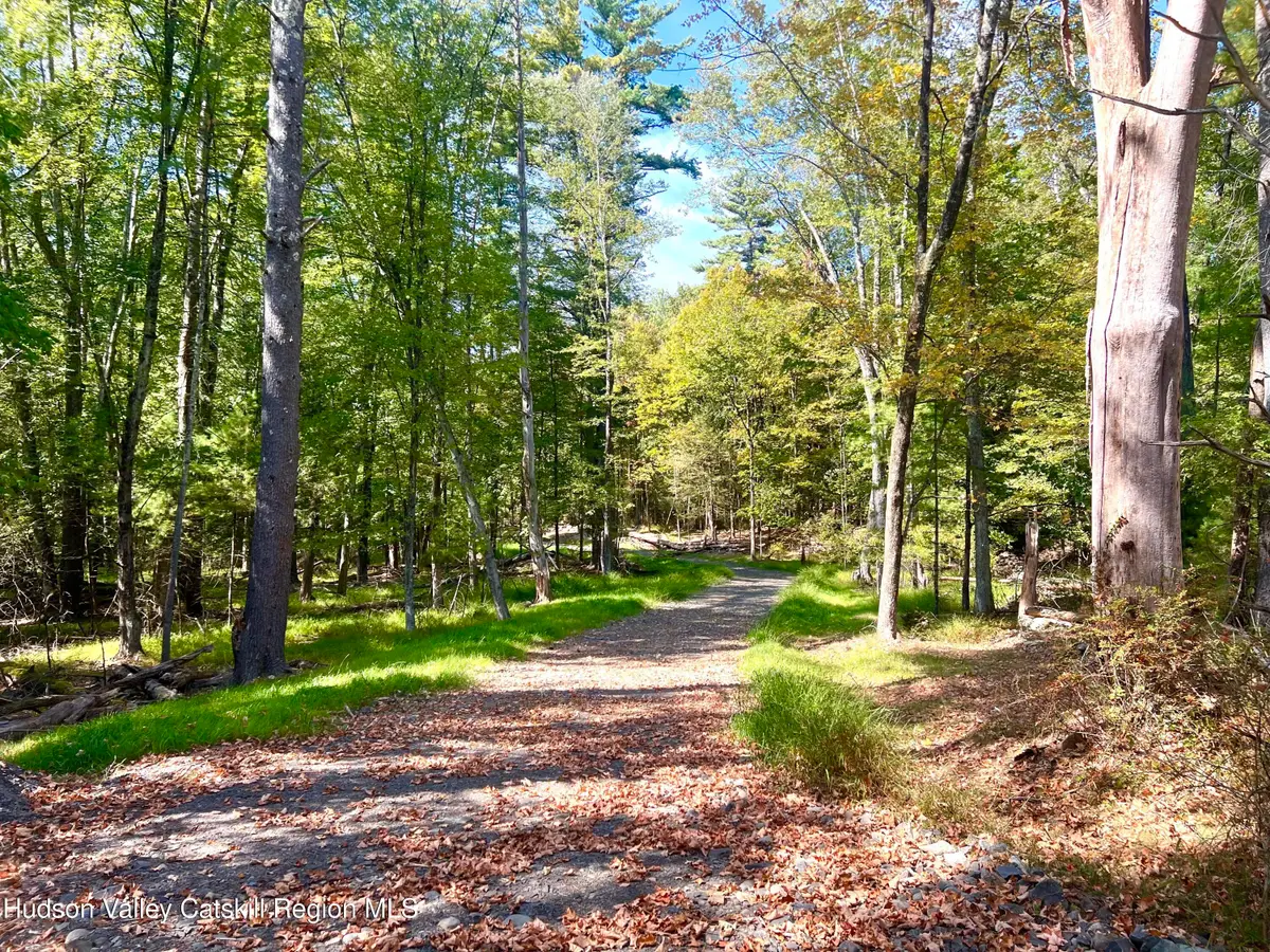 Tbd Wardwell Lane, Woodstock, NY 12498 - Image #1
