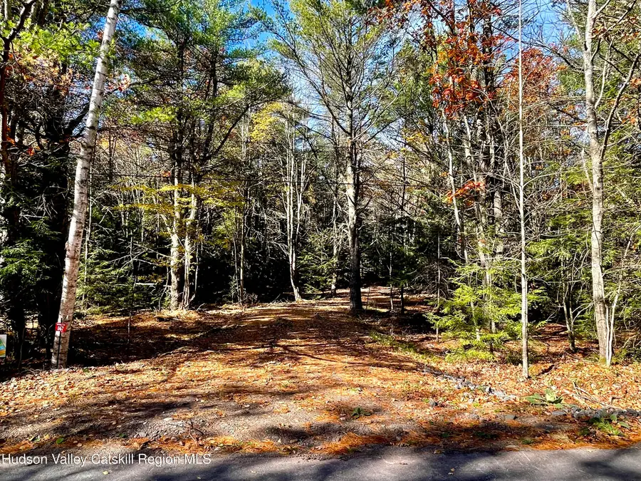 557 Campbell Road, Ashland, NY 12407 - Image #2