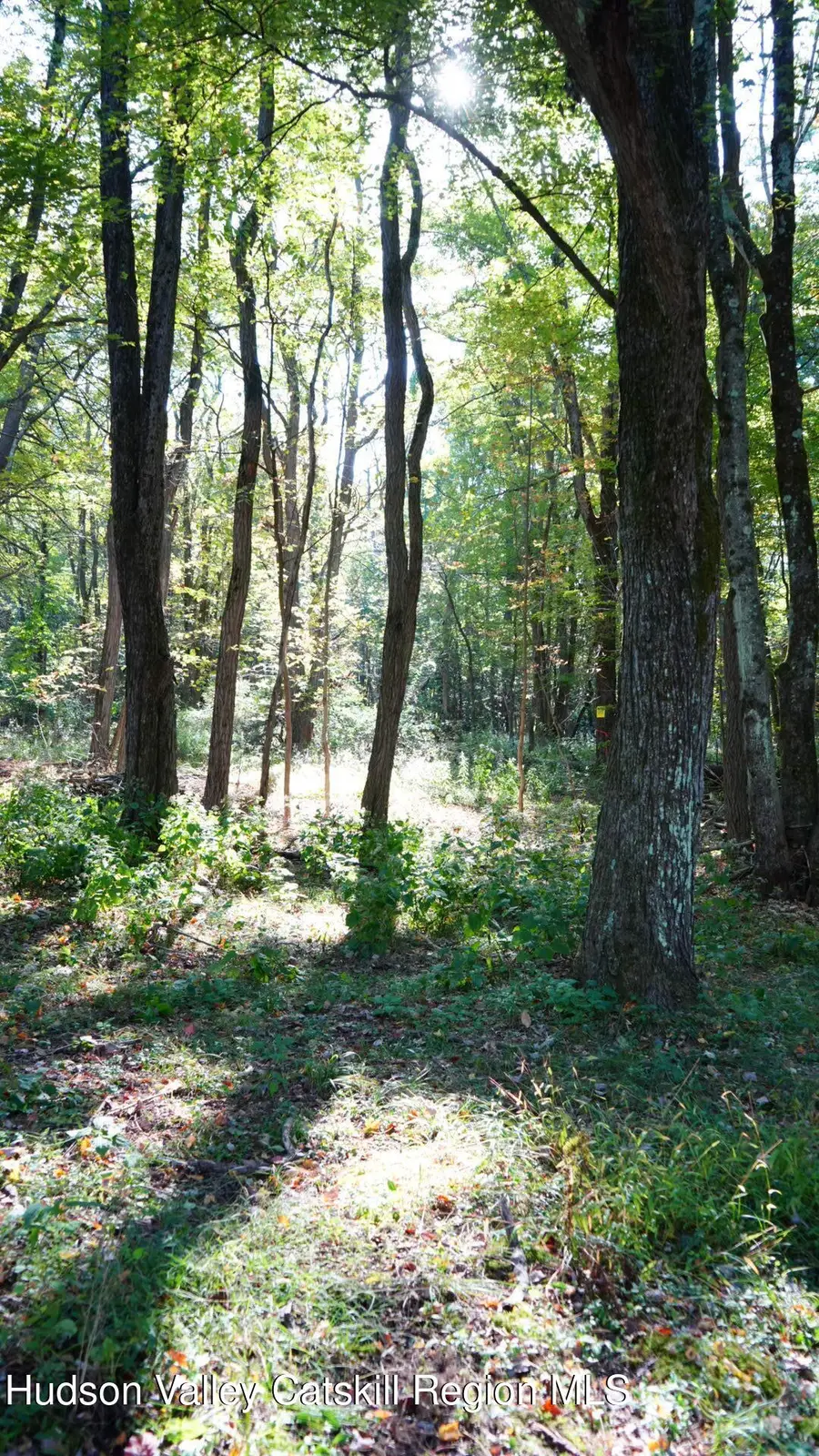 40 Huntington Drive, Freehold, NY 12431 - Image #2