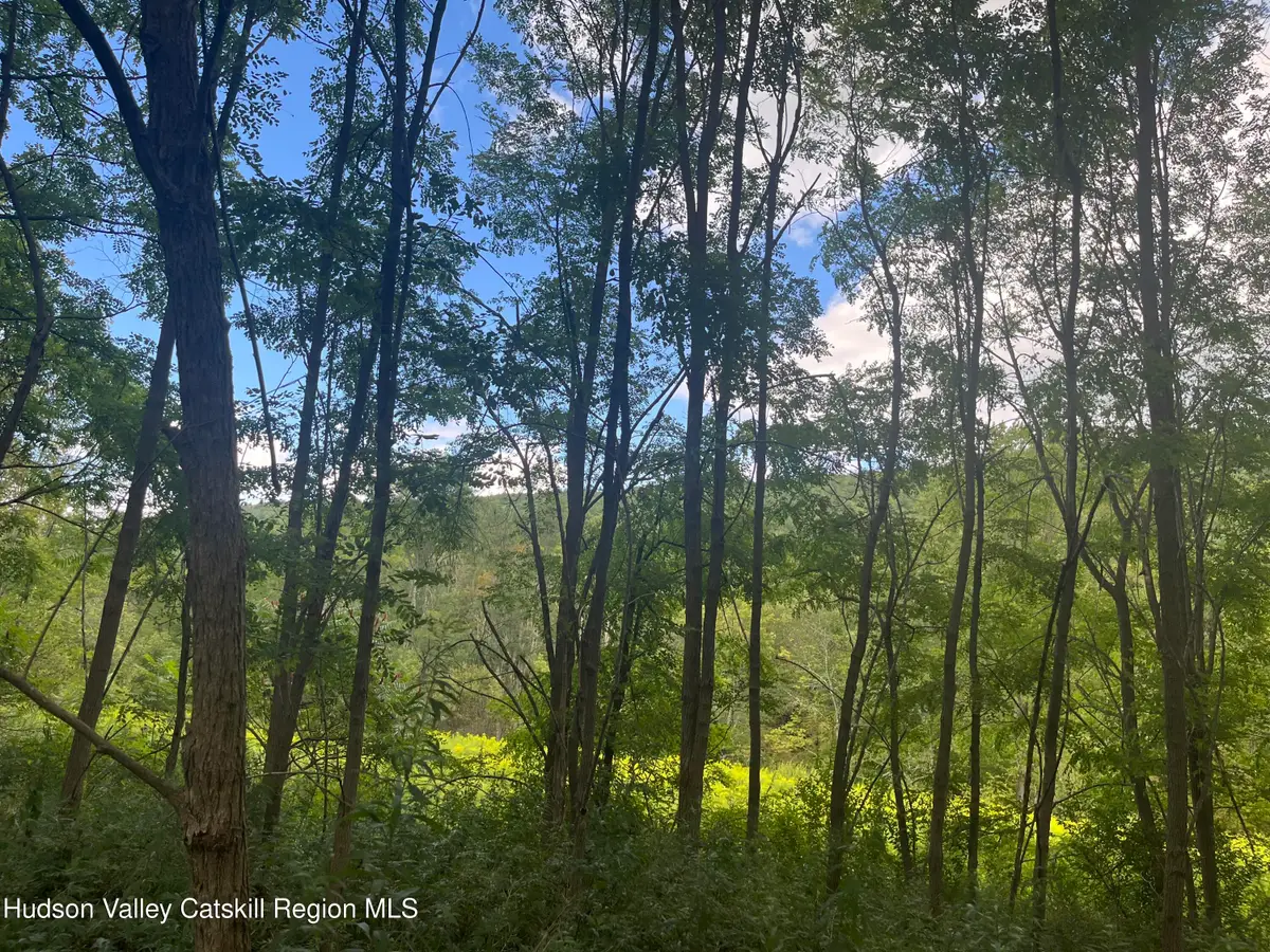 39227 State Highway 23, Grand Gorge, NY 12434 - Image #1