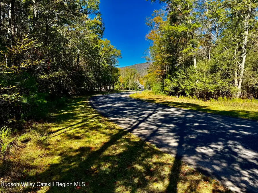 44-86 Falling Waters Drive, Palenville, NY 12463 - #3