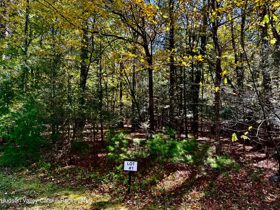 49 Falling Waters Drive Drive, Palenville, NY 12463 - Image #3