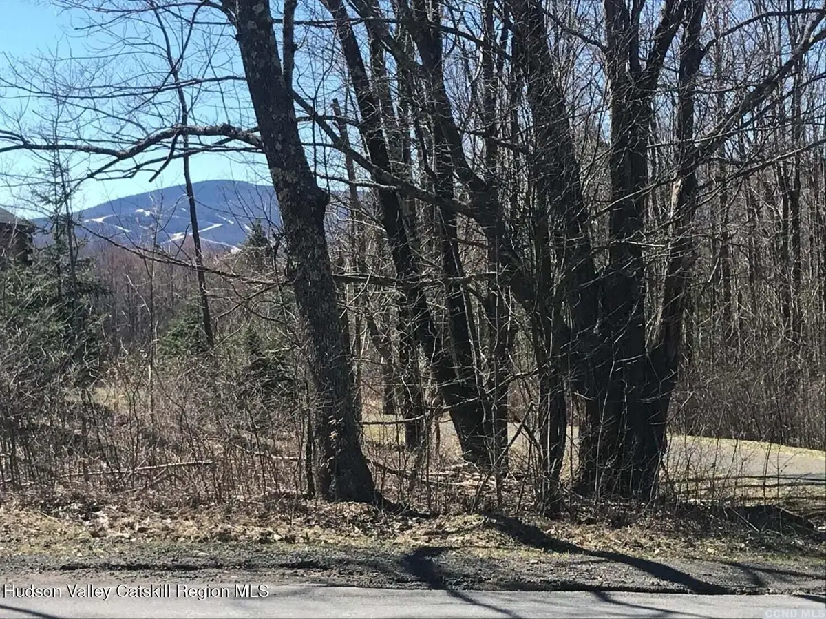 0 Goshen Street, Jewett, NY 12444 - Image #1