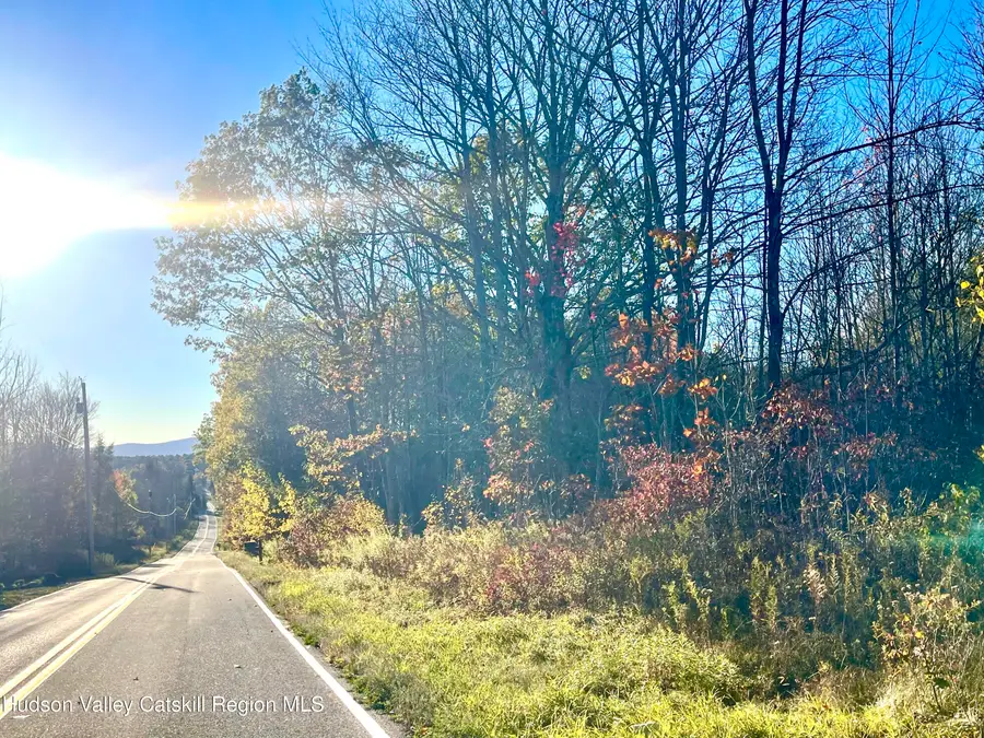 0 Goshen Street, Jewett, NY 12444 - Image #3