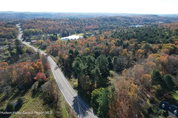 1195 State Rt 17b, Mongaup Valley, NY 12762