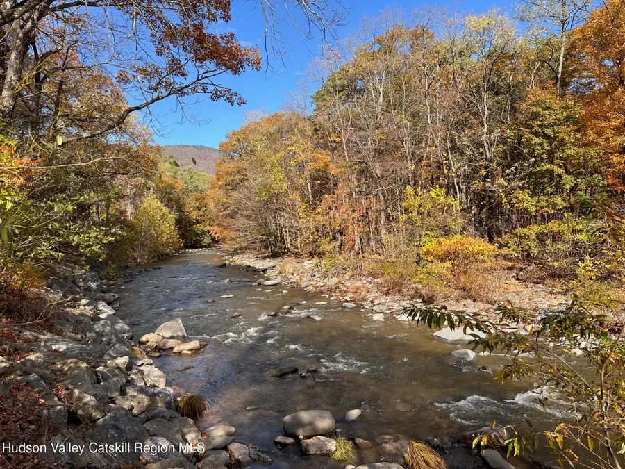 63 Kaaterskill Avenue, Palenville, NY 12463 - Image #2