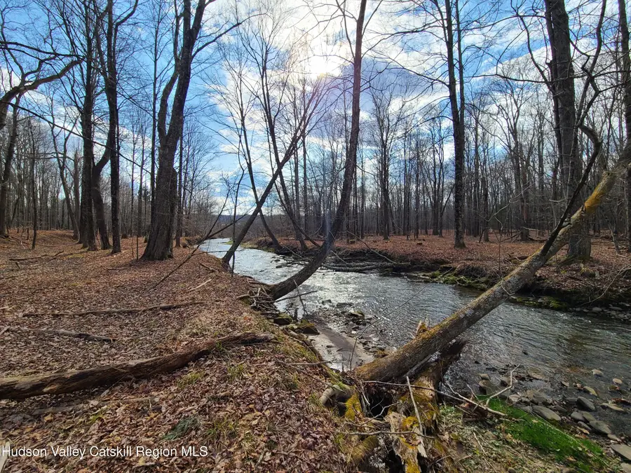 Tbd Nys Rt 52, Liberty, NY 12787 - #3
