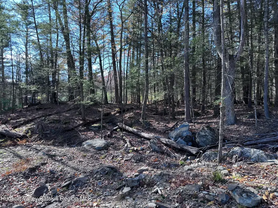 1470 County Road 2, Olive, NY 12461 - Image #3