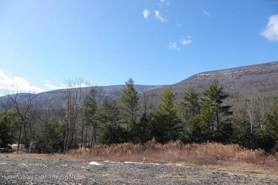 Tbd Manorville Road, Saugerties, NY 12477 - #2