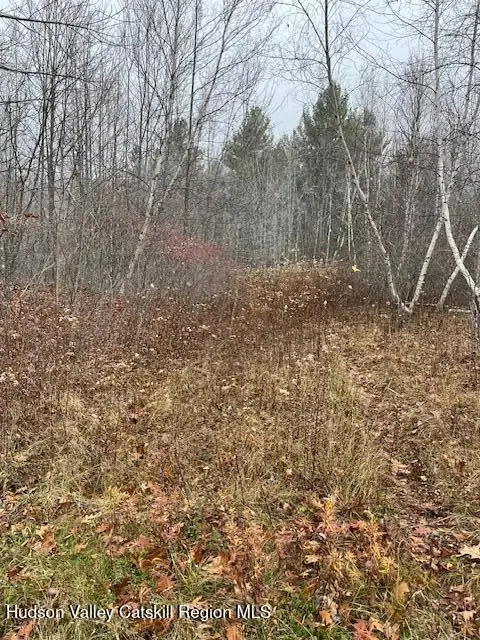 Tbd Goshen Street, Jewett, NY 12444 - Image #2