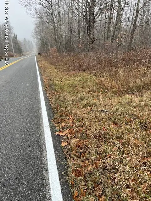 Tbd Goshen Street, Jewett, NY 12444 - Image #3