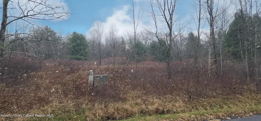 40 Bailey Road, Jewett, NY 12444 - Image #3