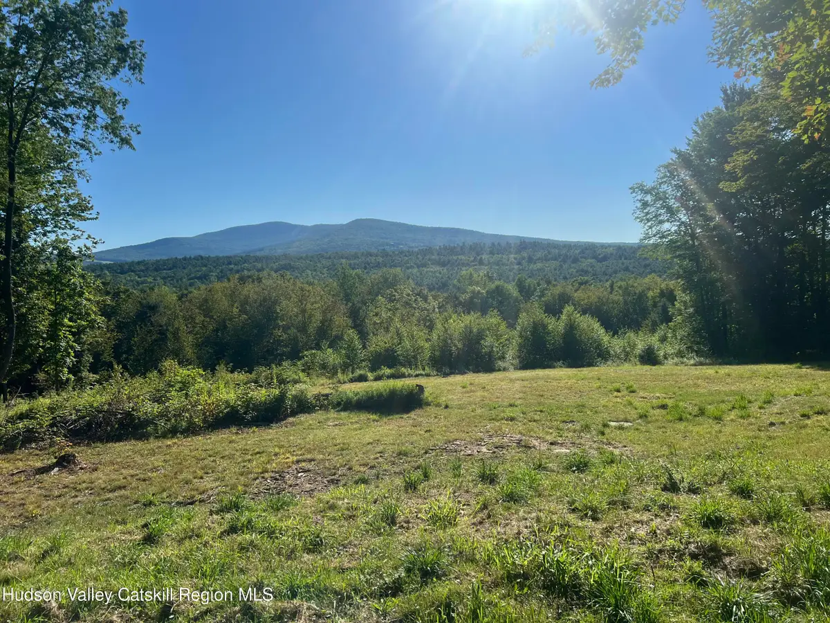 0 Blueberry Estate, Prattsville, NY 12468 - Image #1