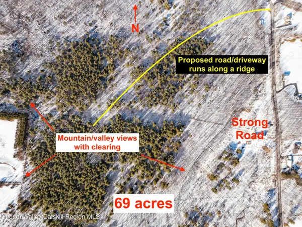 Tbd Strong Road, Cornwallville, NY 12418