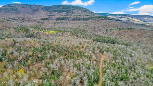 16 Corfu Road, Elka Park, NY 12427