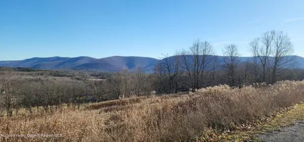 0 Bruce Cross Road, Prattsville, NY 12468