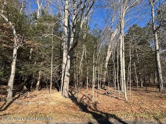 Tbd Park Road, Lexington, NY 12452 - Image #1