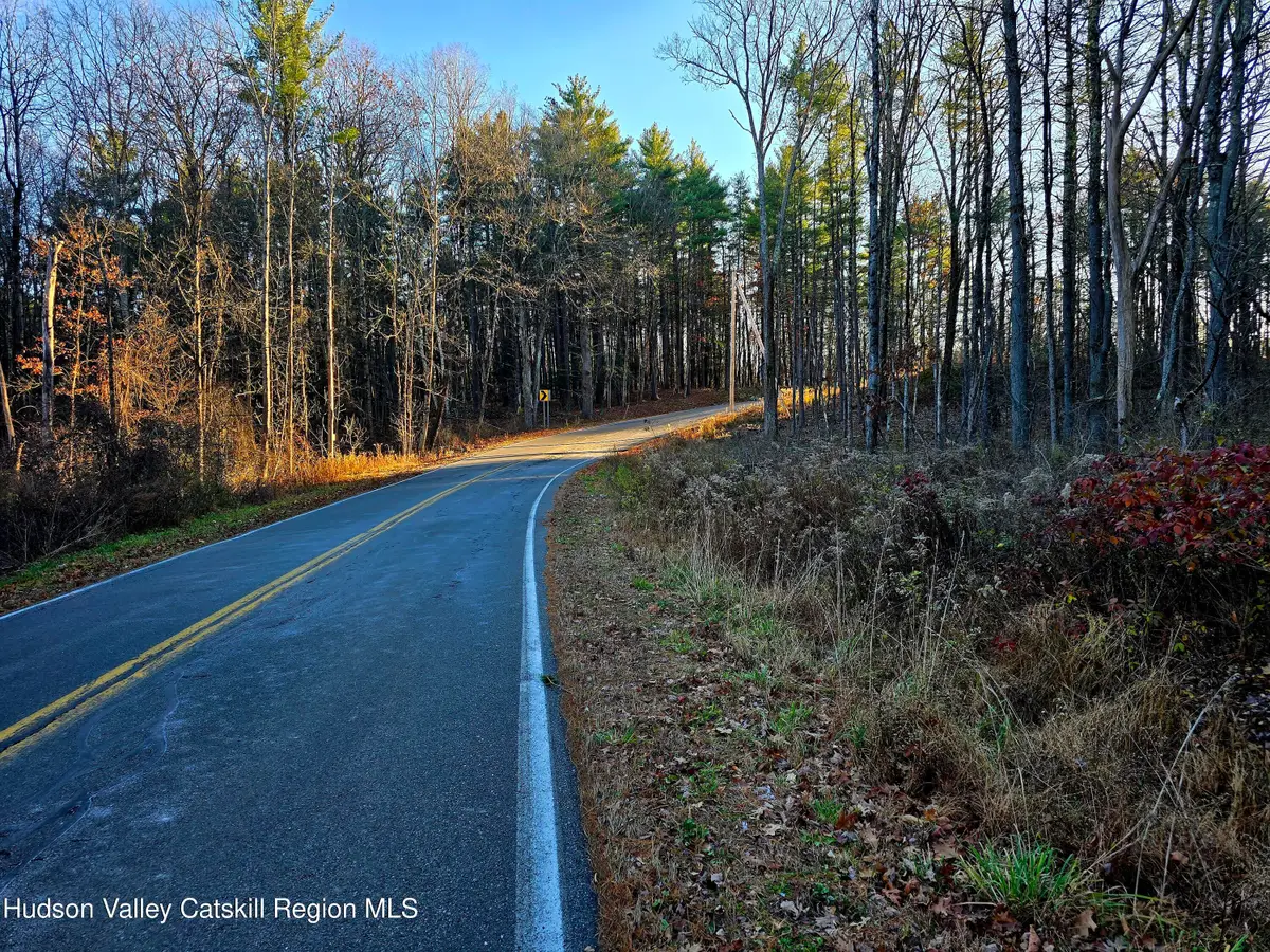 Lot 10 Co Rd 51, New Baltimore, NY 12124 - Image #1