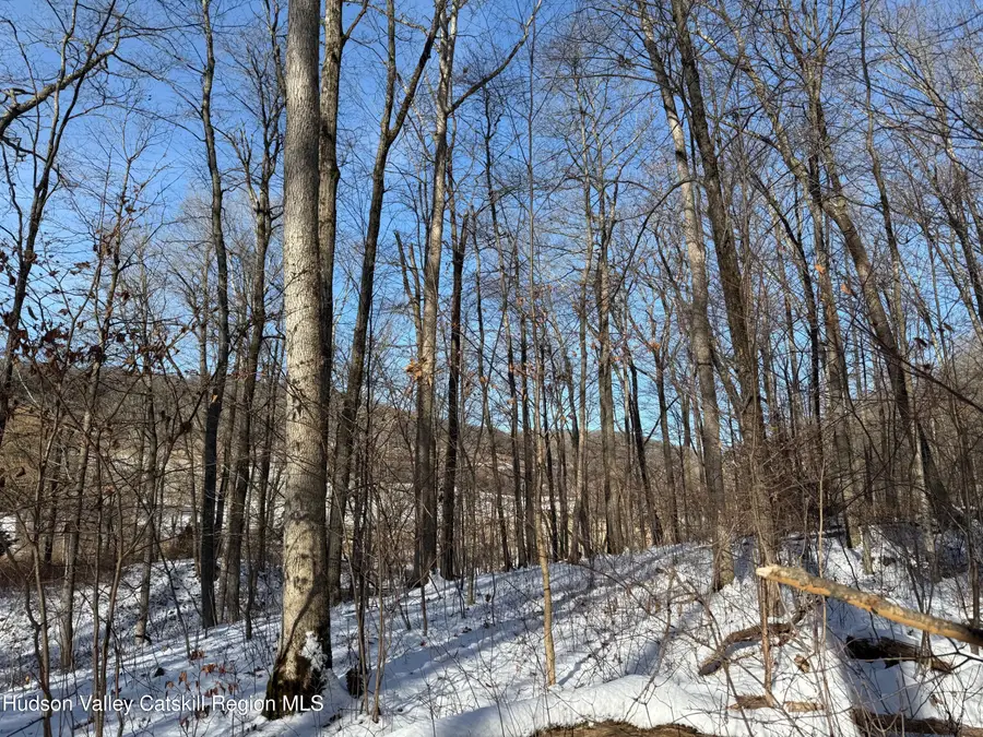 124 Cooper Road, Millerton, NY 12546 - Image #2