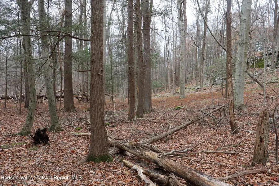 11 Carey Road, West Park, NY 12493 - Image #2