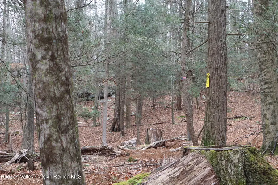 11 Carey Road, West Park, NY 12493 - Image #3