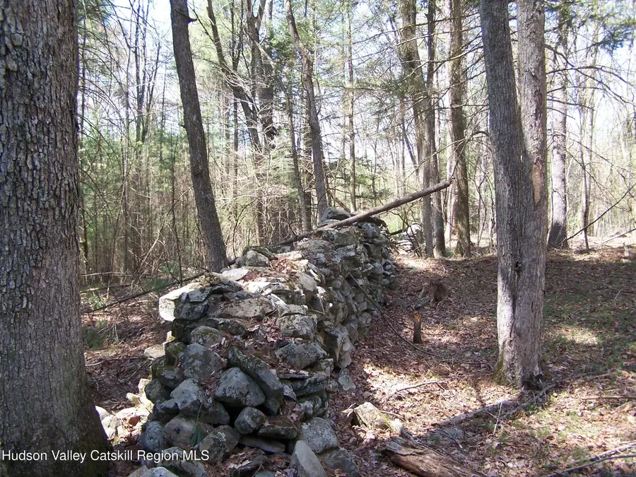 Tbd Buck Road, Stone Ridge, NY 12484 - Image #2