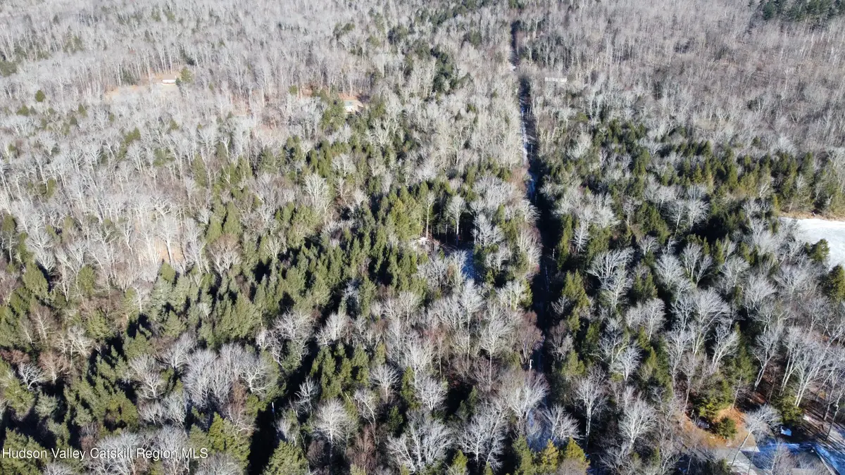 139 Woodland Trail, East Jewett, NY 12424 - Image #1