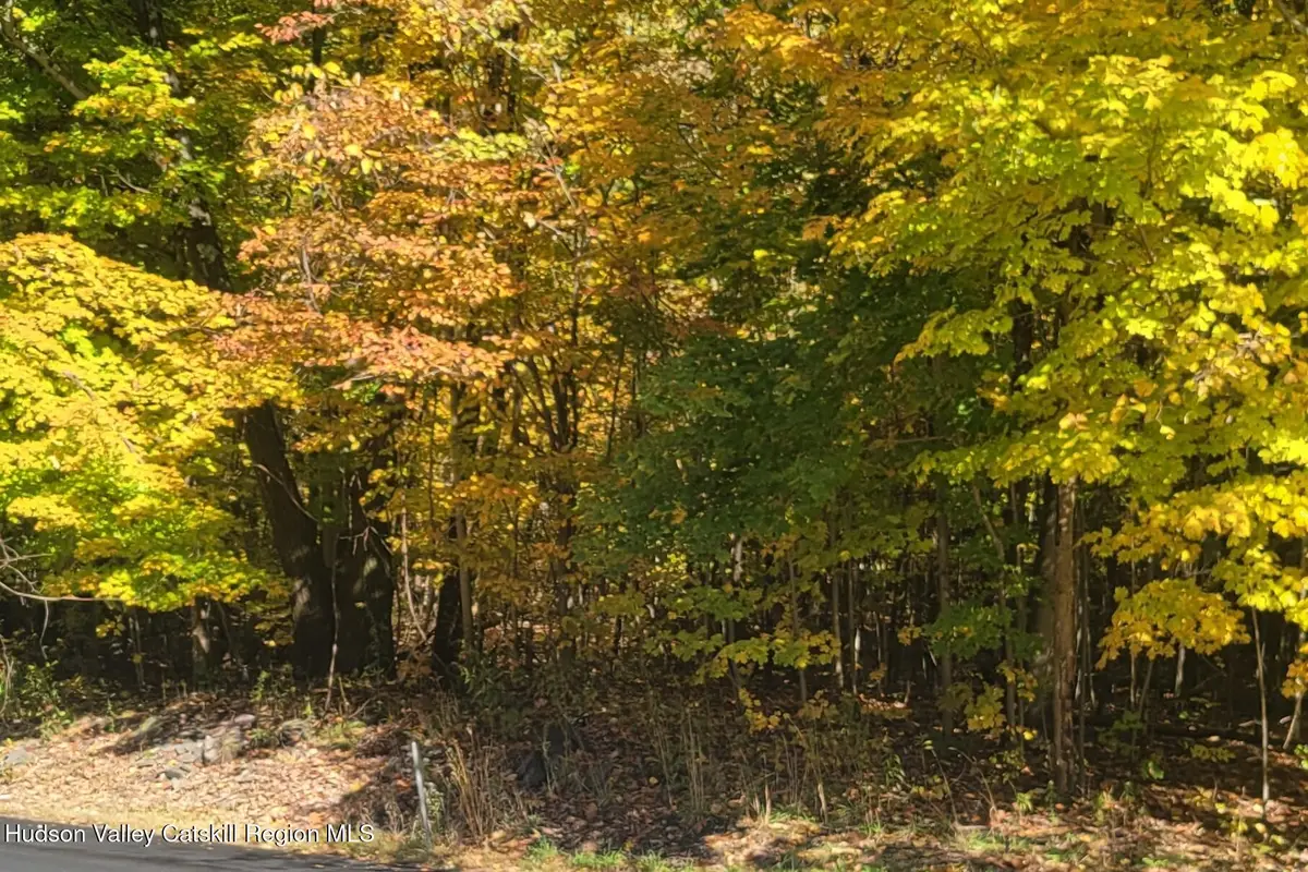 0 Route 145, Cairo, NY 12413 - Image #1