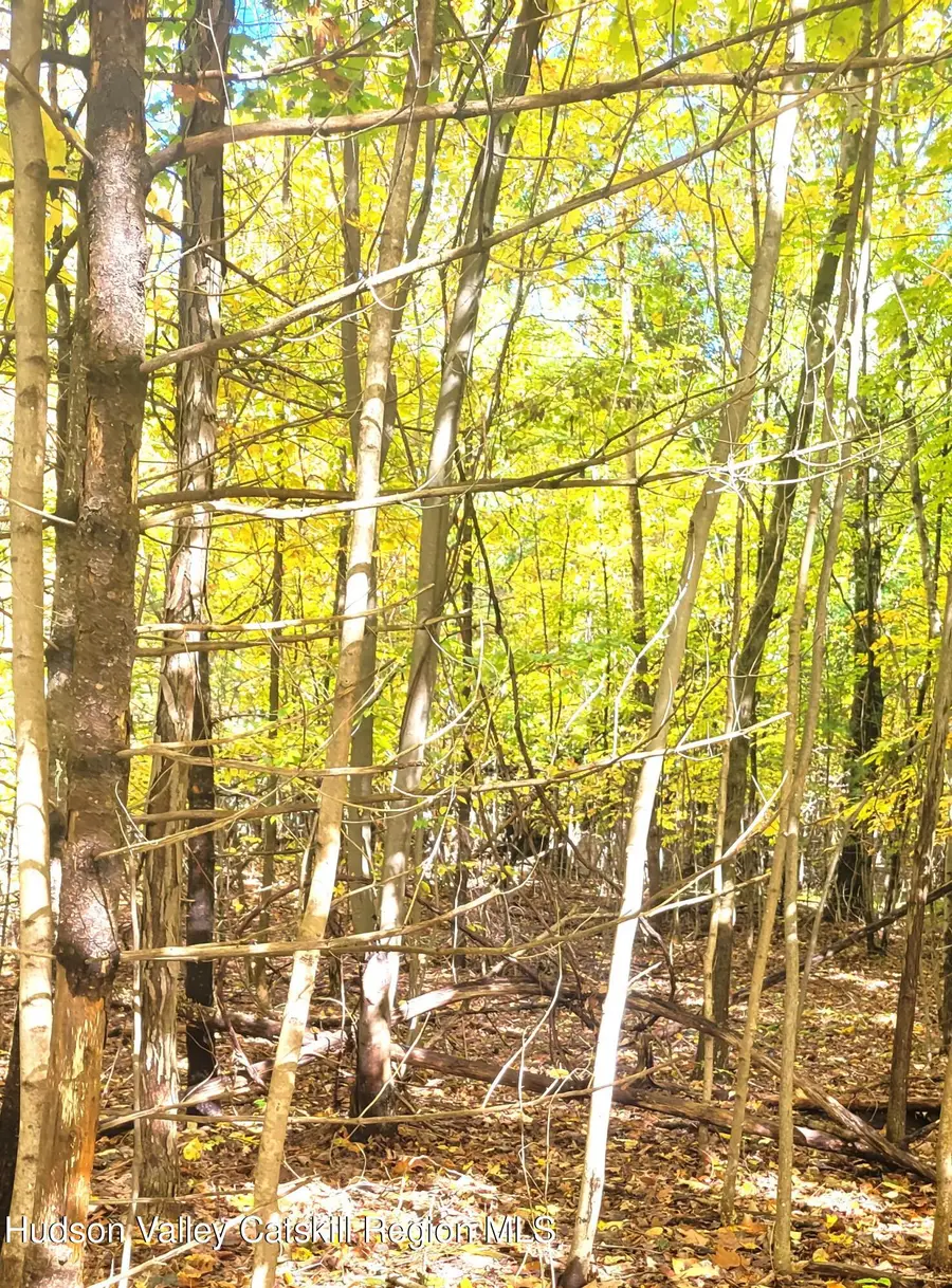 0 Route 145, Cairo, NY 12413 - Image #3