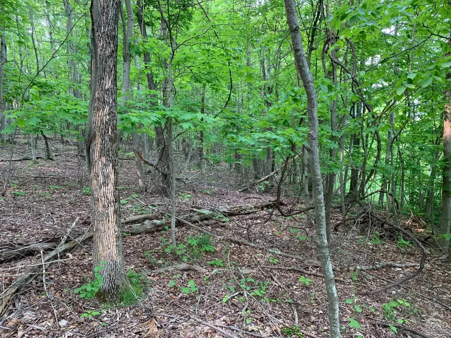 L4 County Route 5, Canaan, NY 12029 - Image #3